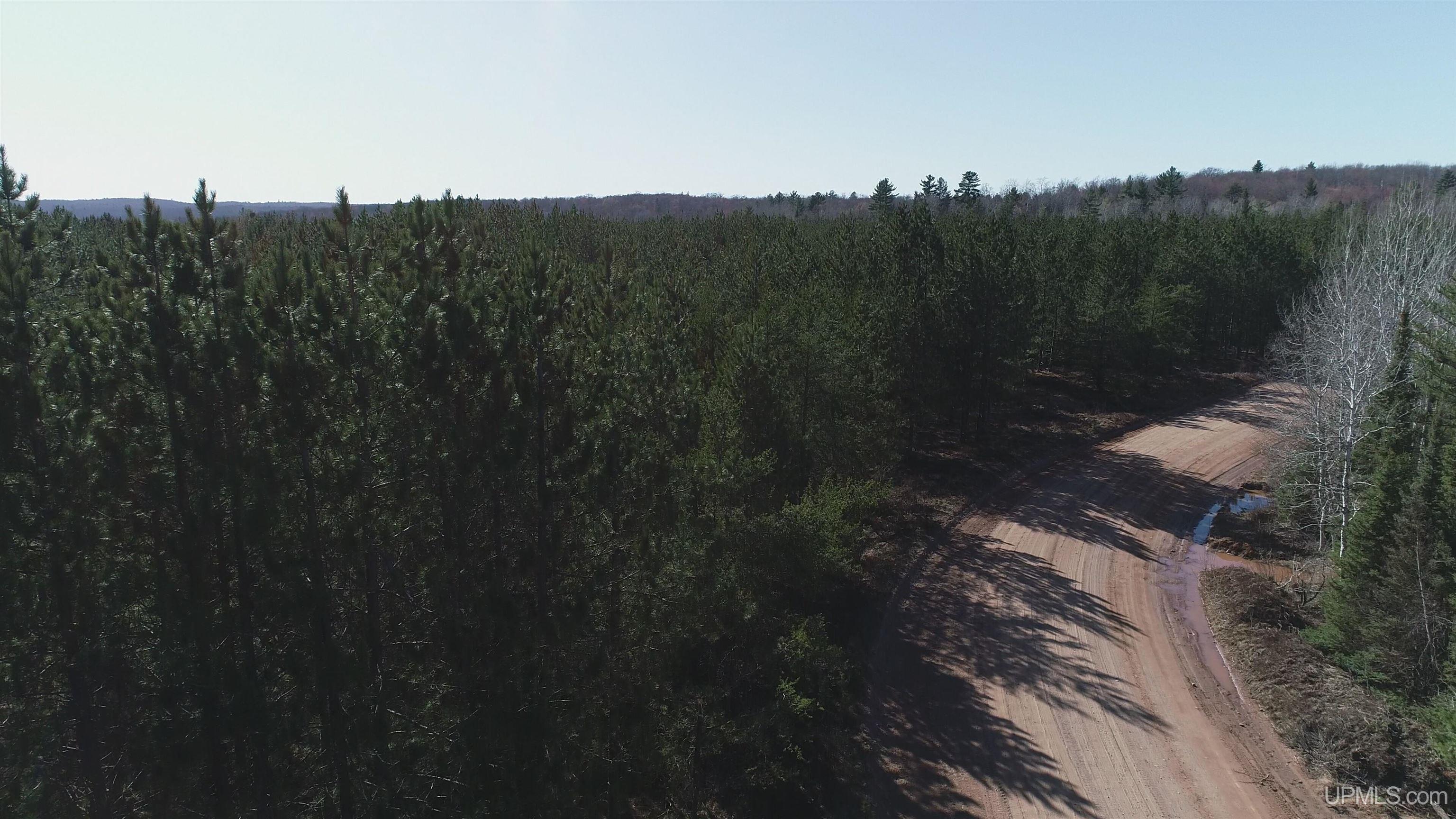 79.7-acres 79.7-acres Co Road Ishpeming, MI 49849 - Photo 27 of 30