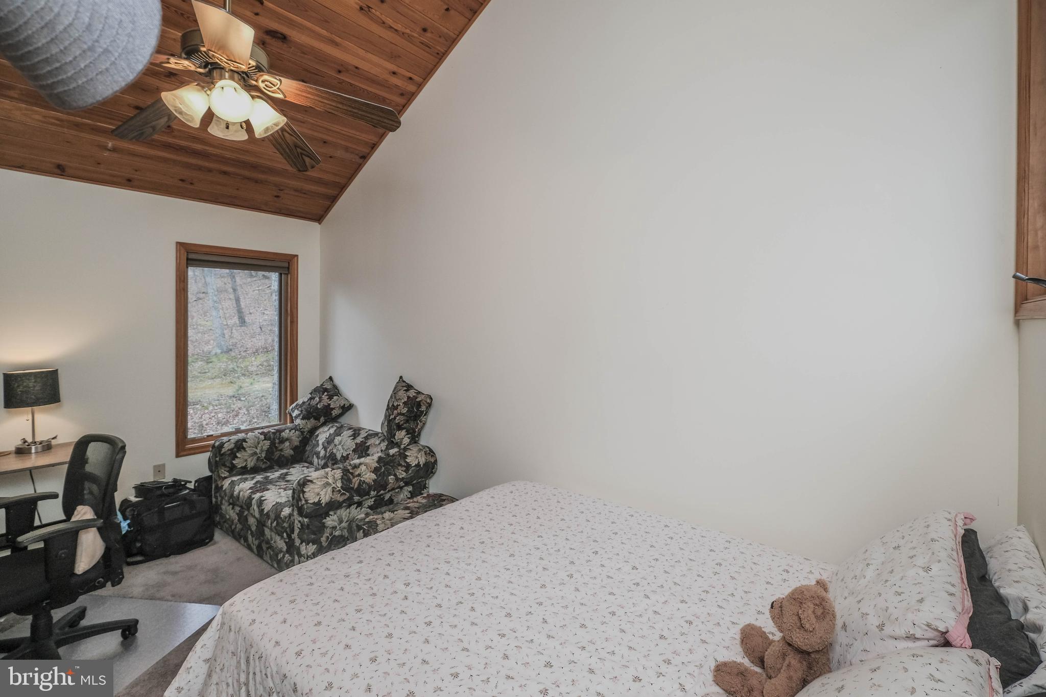 642 Paddys Run Road Star Tannery, VA 22654 - Photo 71 of 79
