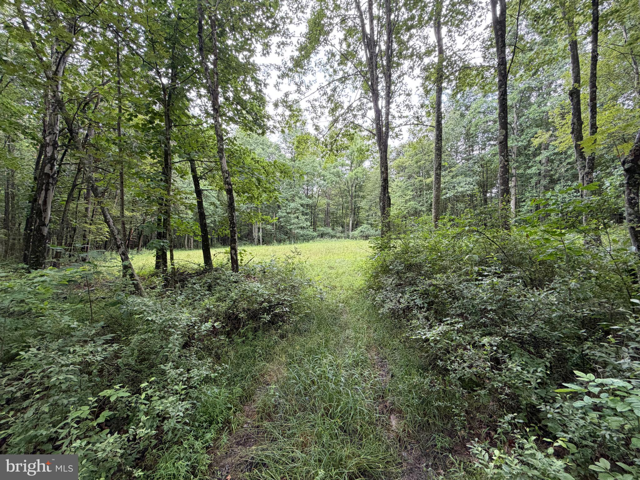 17147 Sugar Run Road Shirleysburg, PA 17260 - Photo 131 of 148
