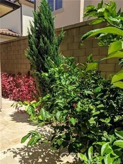 $6,000 | 62 Acorn, Irvine, CA 92620