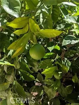 $6,000 | 62 Acorn, Irvine, CA 92620