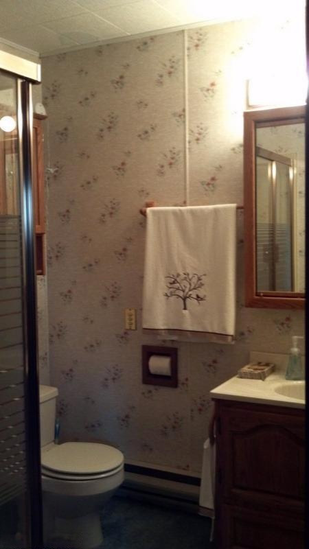 47494 84th Avenue Decatur, MI 49045 - Photo 19 of 23 Additional Photo