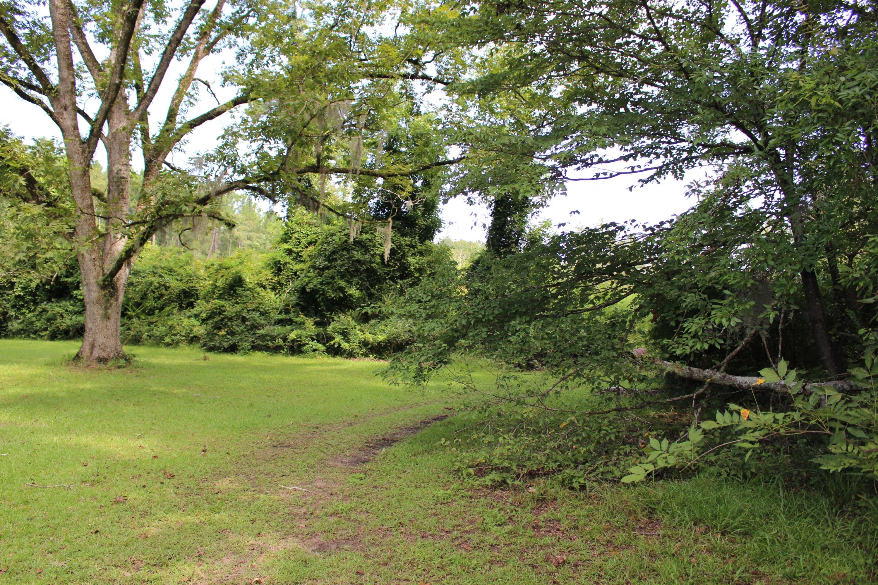 5650 County Line Road Ravenel, SC 29470 - Photo 3 of 3 County Line 3