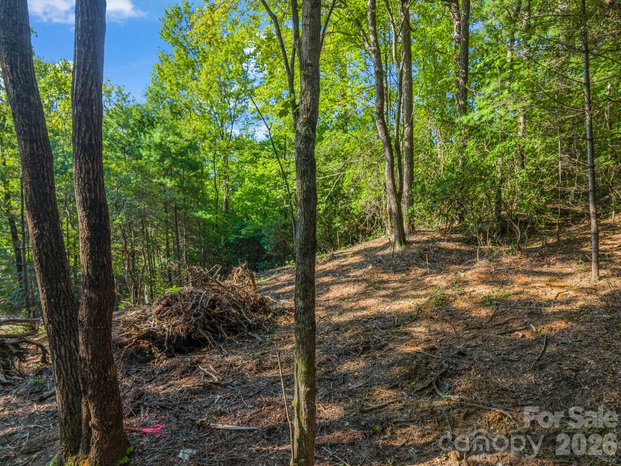 130 Summit Rise Road Pisgah Forest, NC 28768 - Photo 10 of 30 Gallery Image 10