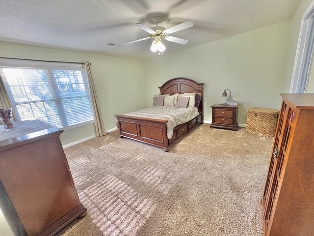505 Canebrake Drive Anderson, SC 29621 - Photo 12 of 24 Primary Bedroom