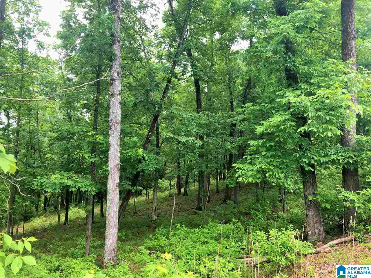 1430 Mineral Springs Road, Unit 1 Pell City, AL 35125 - Photo 16 of 27