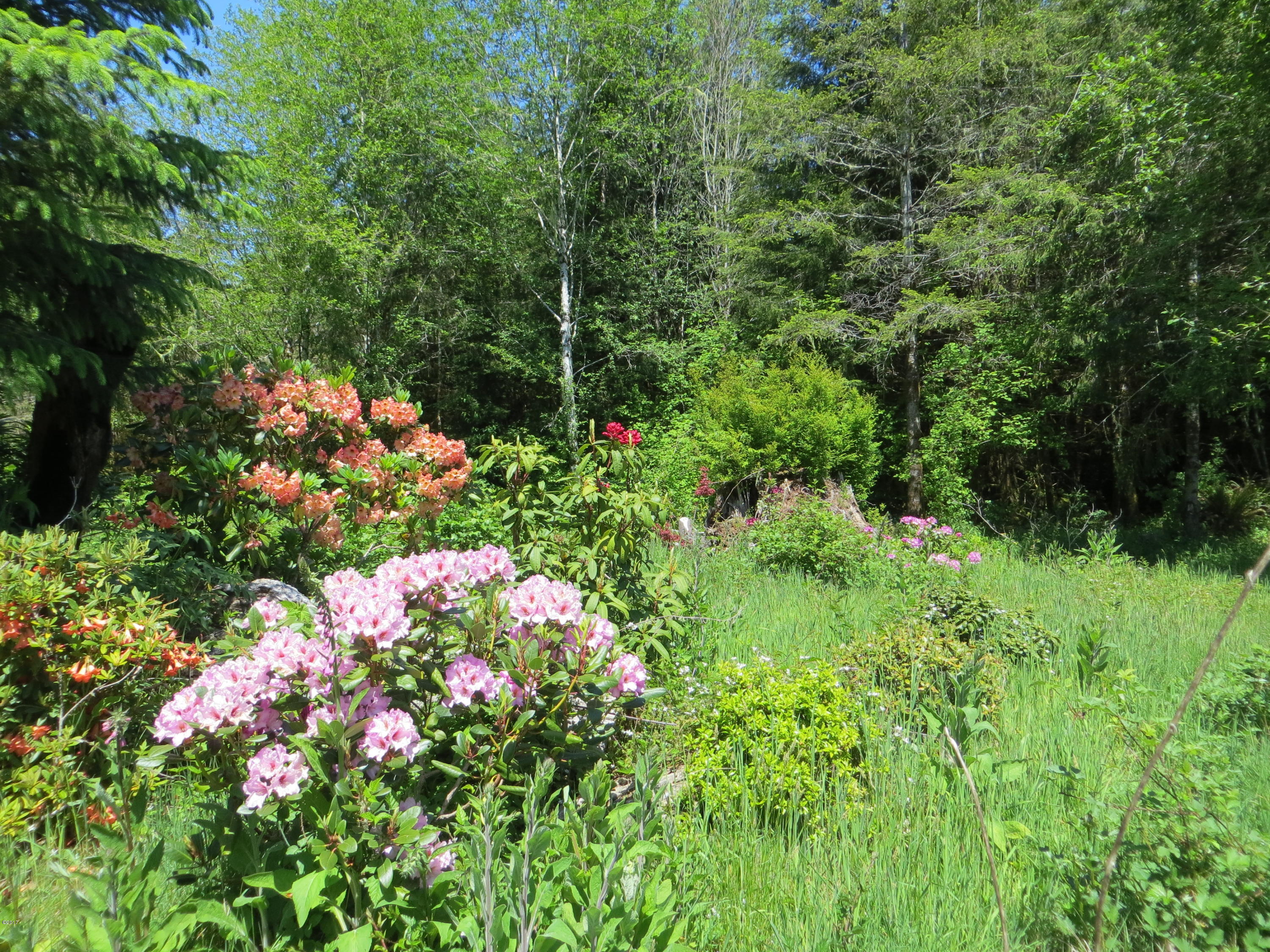 Lot 15 Hamer Road Siletz, OR 97380 - Photo 4 of 23 Beautiful property