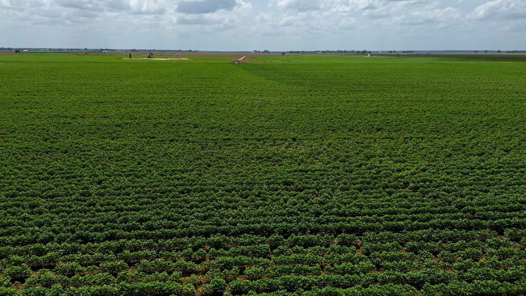 0 Sims Lane Bryan, TX 77807 - Photo 18 of 27