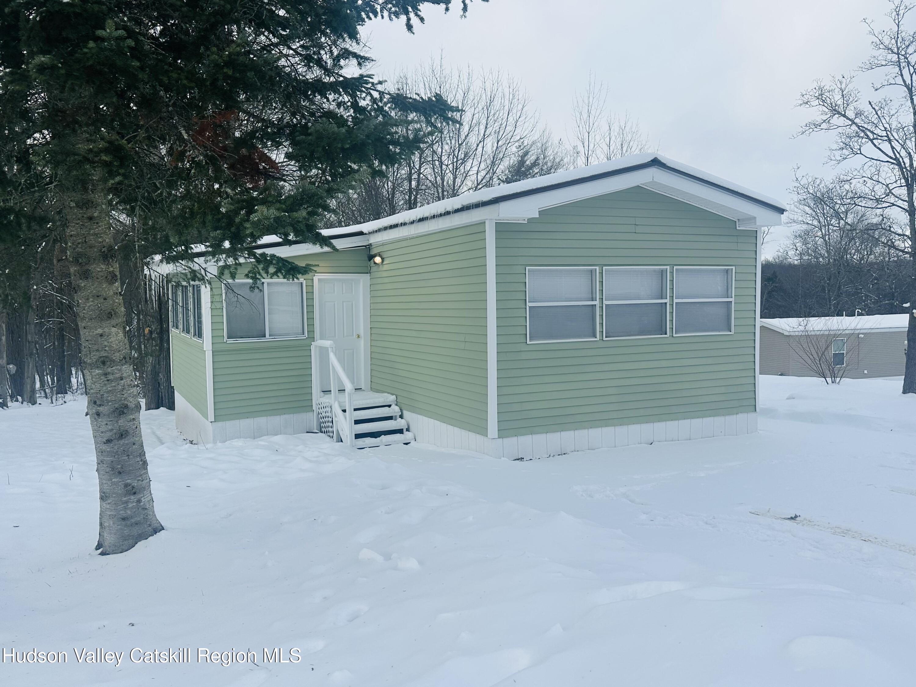 31 Bell Way Monticello, NY 12701 - Photo 2 of 15 a view of backyard with small cabin
