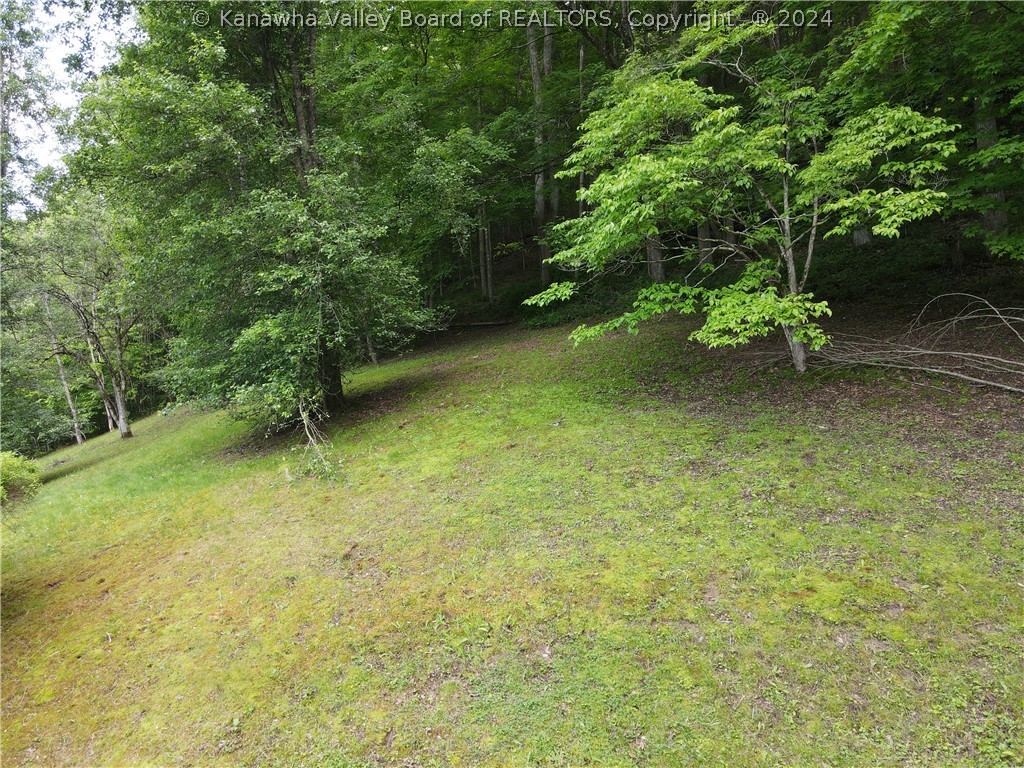 368 Bomont Road Bomont, WV 25030 - Photo 5 of 30 Gallery Image 5