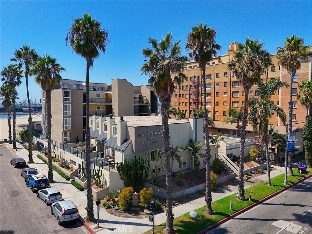1 3rd Place, Unit 2 Long Beach, CA 90802 - Photo 29 of 40 a view of multiple houses with palm trees