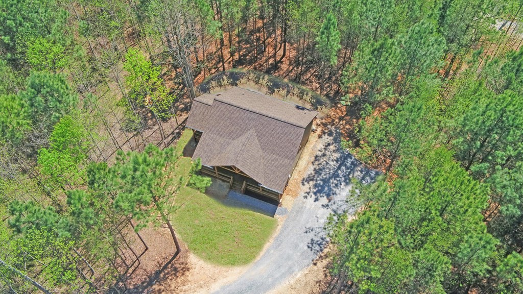 313 Burger Road Murphy, NC 28906 - Photo 36 of 41