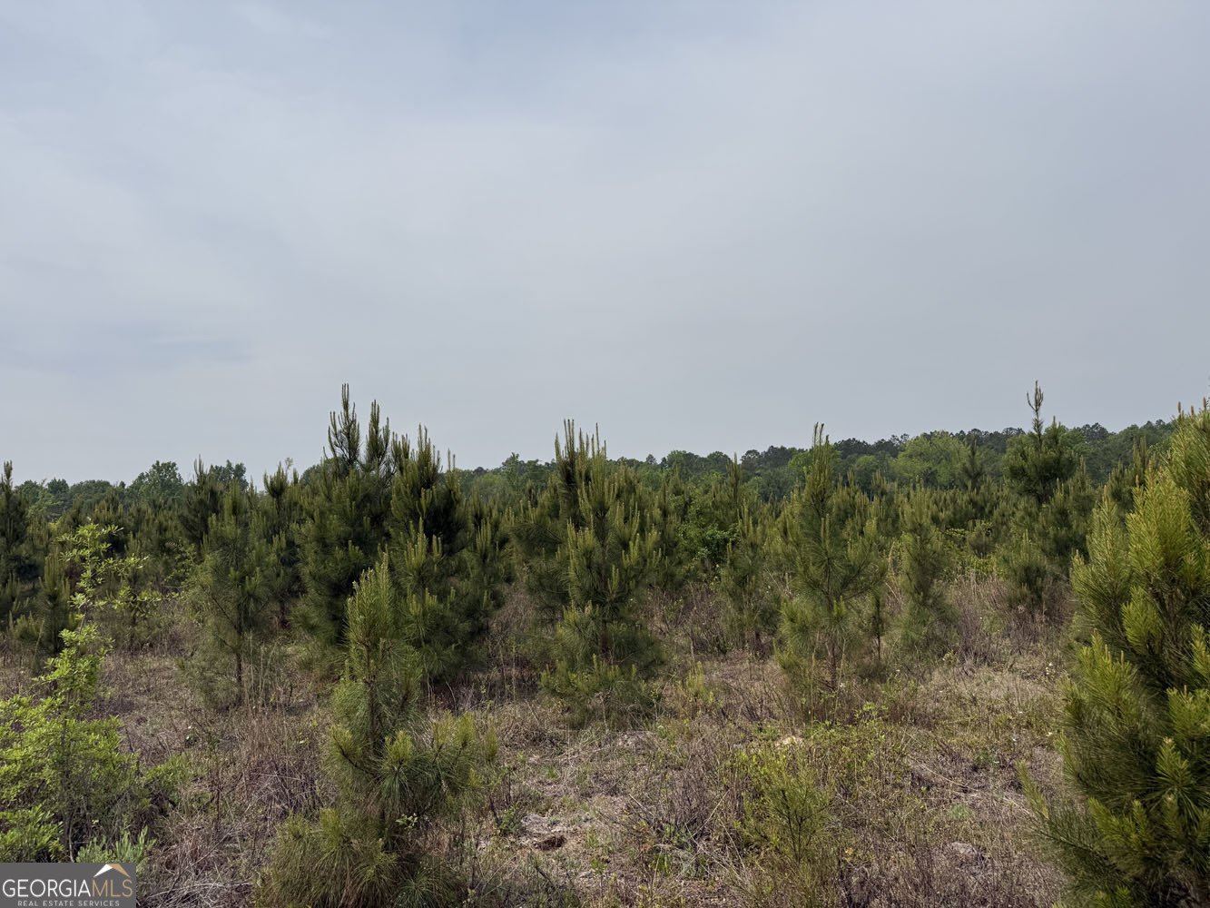 5 Cedar Grove Dublin, GA 31021 - Photo 13 of 13