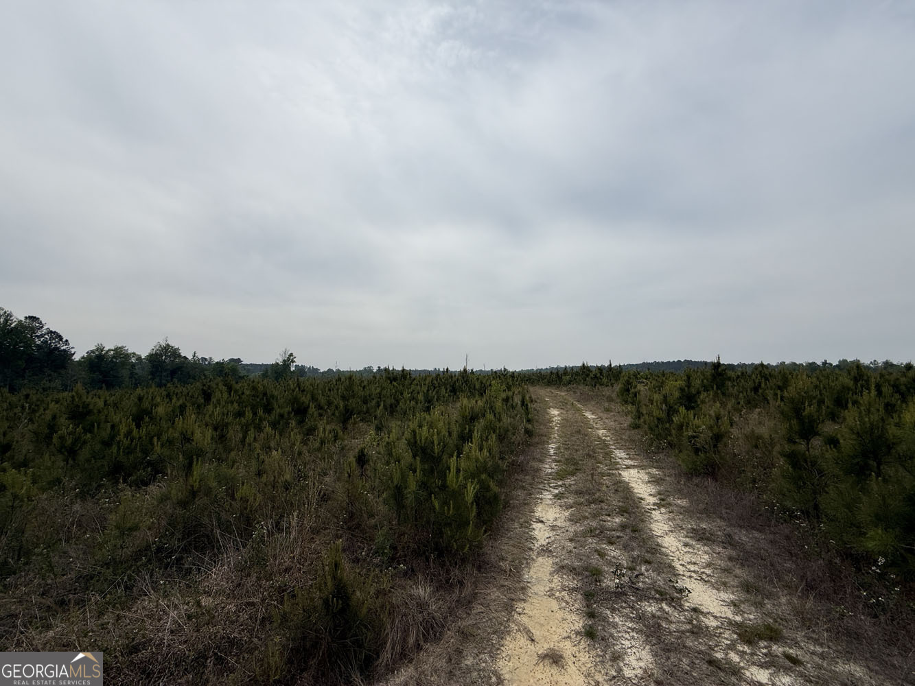 5 Cedar Grove Dublin, GA 31021 - Photo 4 of 13