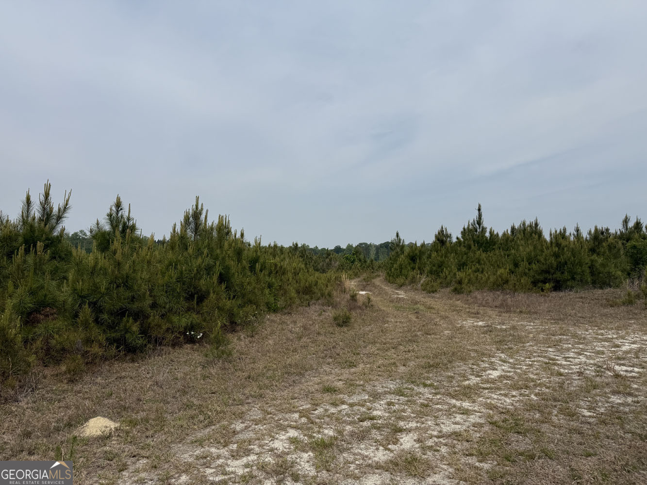 5 Cedar Grove Dublin, GA 31021 - Photo 5 of 13