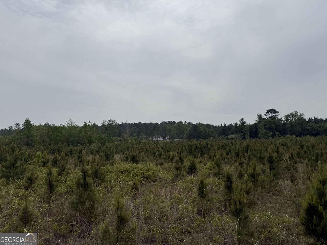 5 Cedar Grove Dublin, GA 31021 - Photo 6 of 13