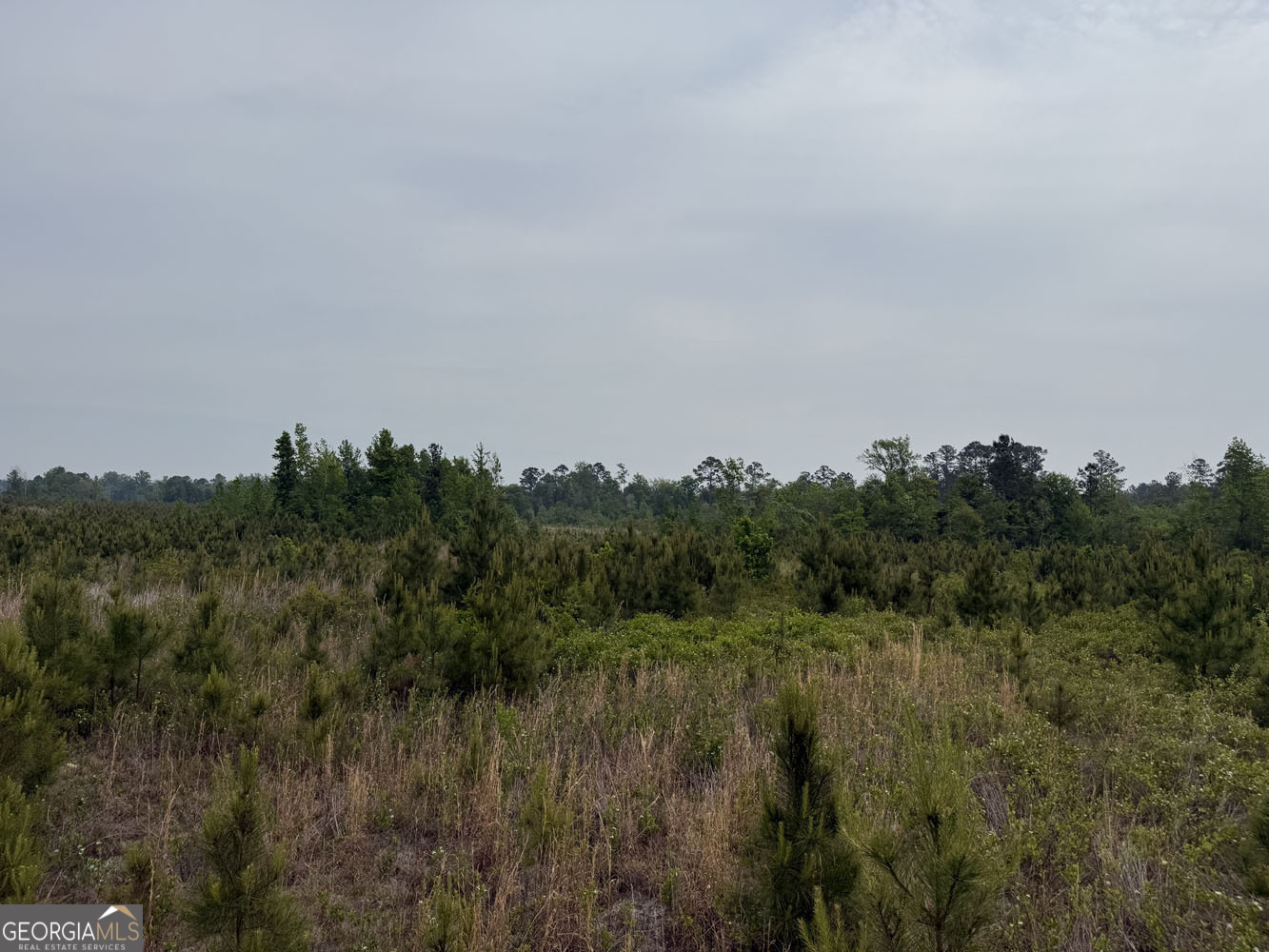5 Cedar Grove Dublin, GA 31021 - Photo 7 of 13