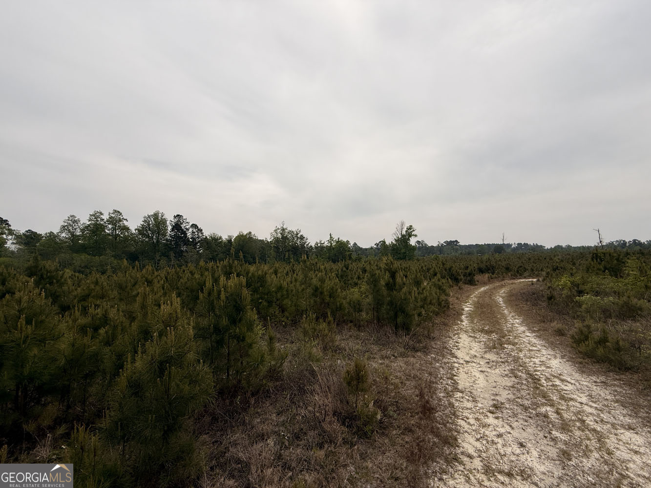 5 Cedar Grove Dublin, GA 31021 - Photo 8 of 13