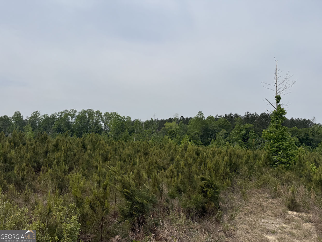 5 Cedar Grove Dublin, GA 31021 - Photo 9 of 13