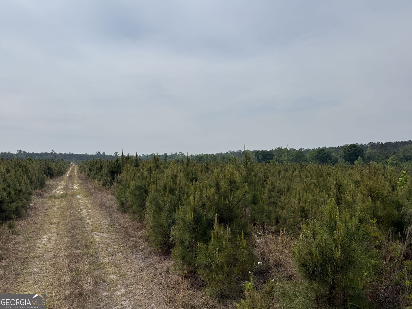 5 Cedar Grove Dublin, GA 31021 - Photo 10 of 13