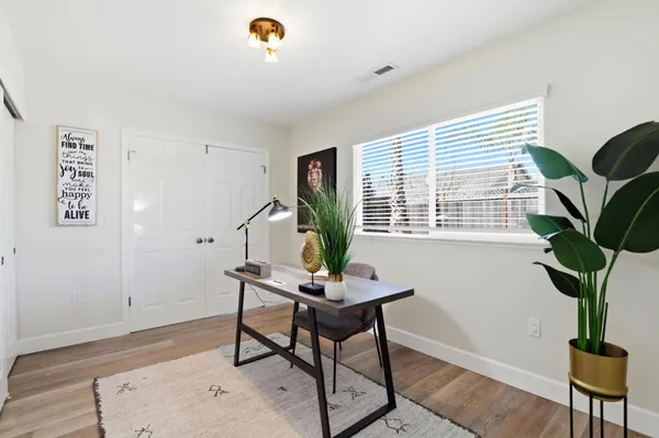 a living room with furniture and a potted plant