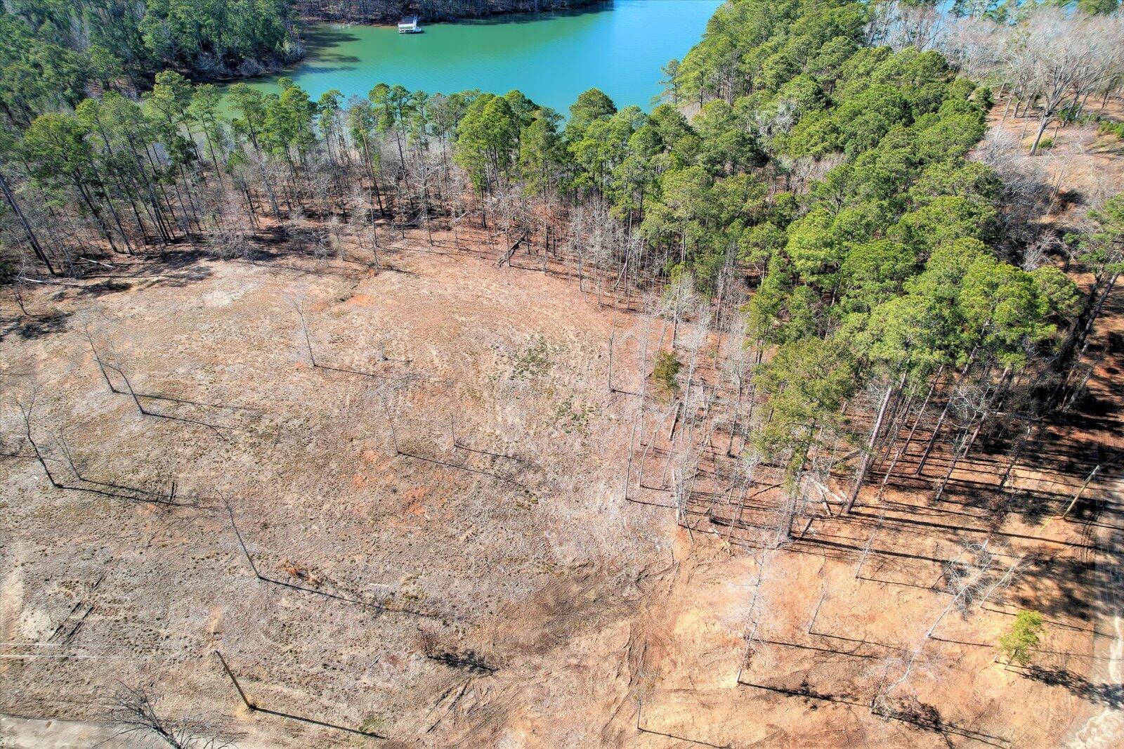 450 Abundance Way Appling, GA 30802 - Photo 3 of 14