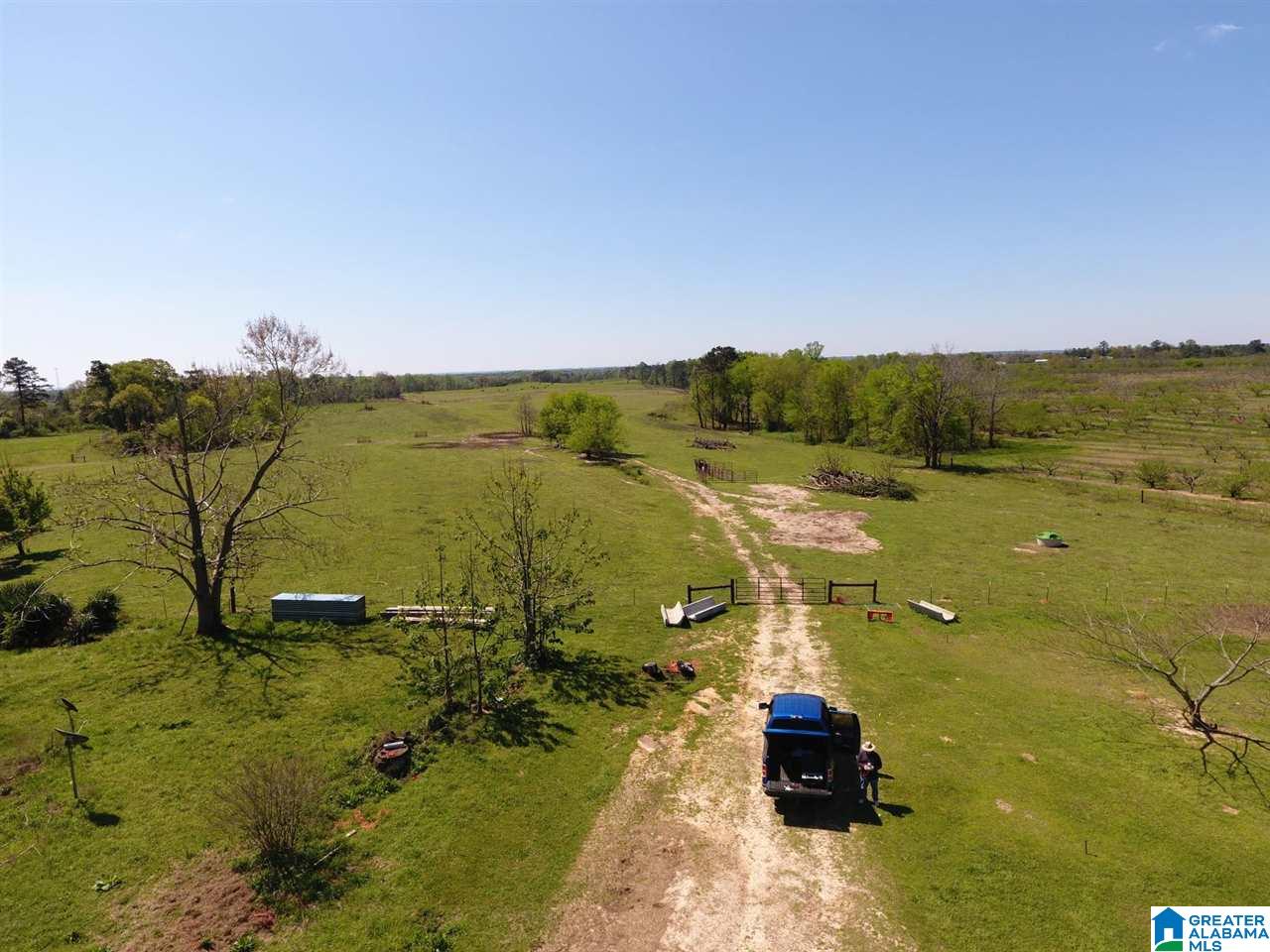 0 County Road 30, Unit 1 Clanton, AL 35045 - Photo 12 of 32
