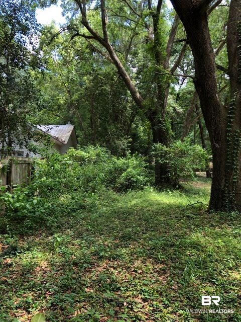 0 Heard Road Fairhope, AL 36532 - Photo 2 of 2 Right of Way