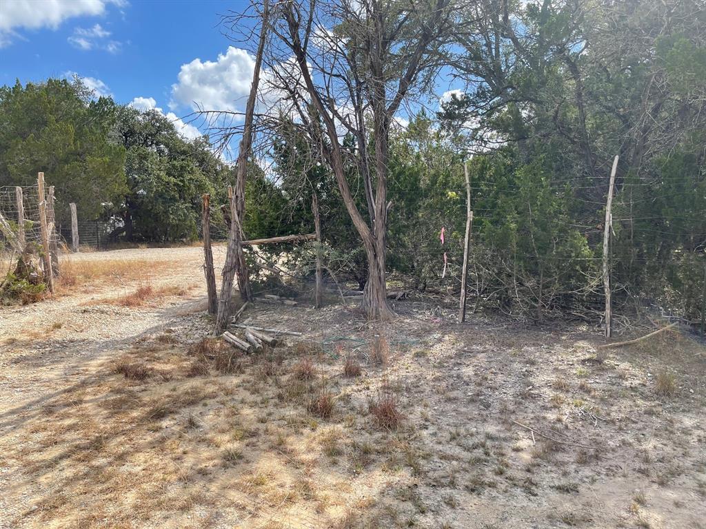 829 Tejas Trail Bandera, TX 78003 - Photo 3 of 6 a view of a forest filled with trees