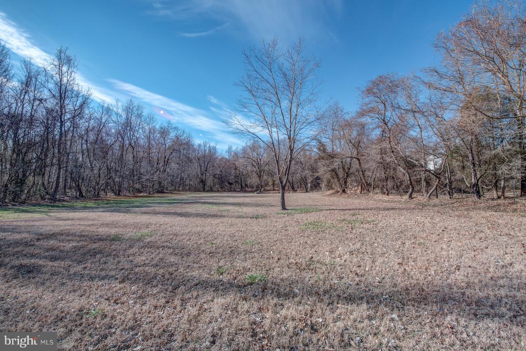 10605 Willetts Crossing Road White Plains, MD 20695 - Photo 21 of 22 a view of dirt yard with trees