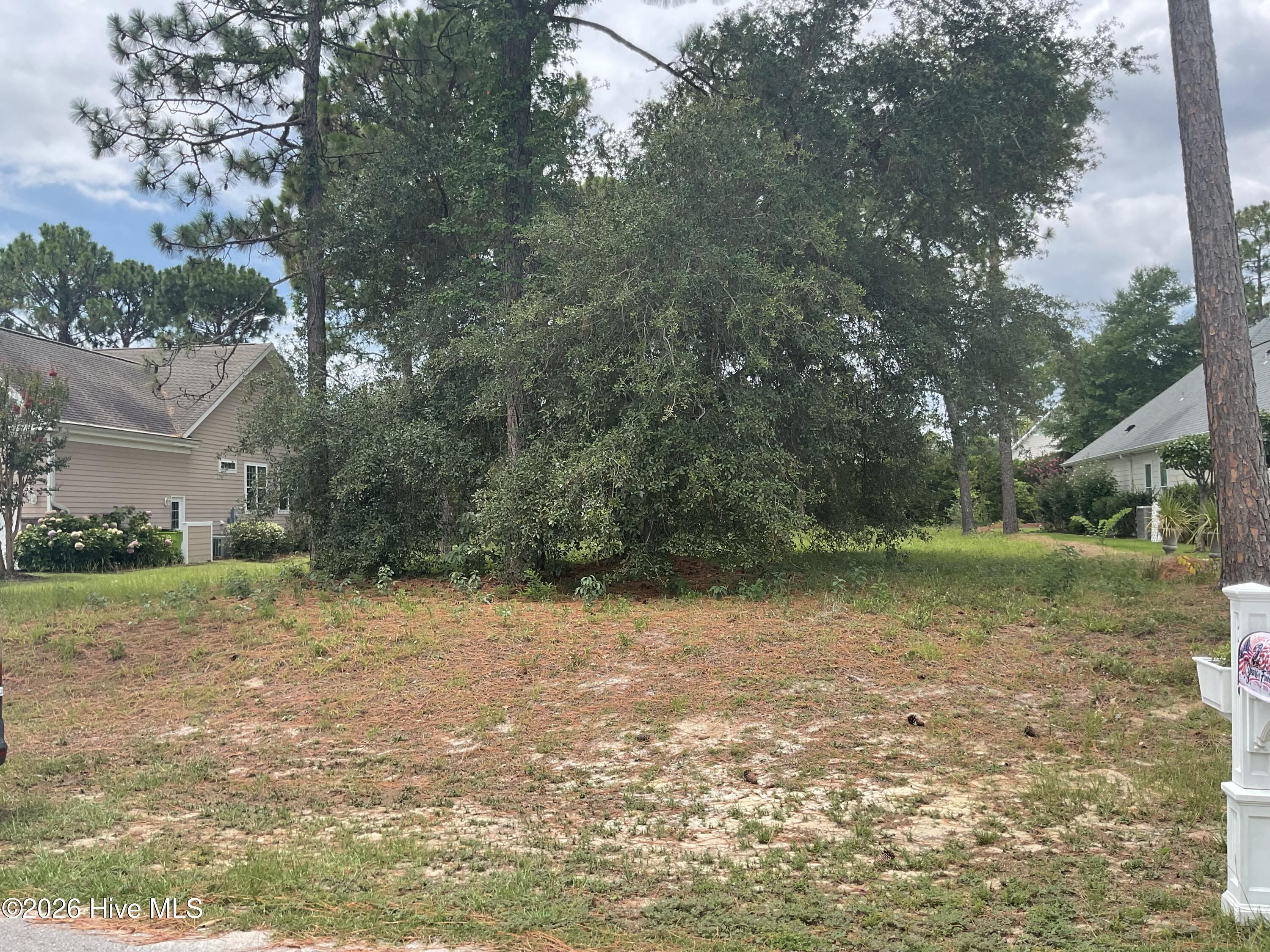 205 Planter's Ridge Drive Sunset Beach, NC 28468 - Photo 2 of 3
