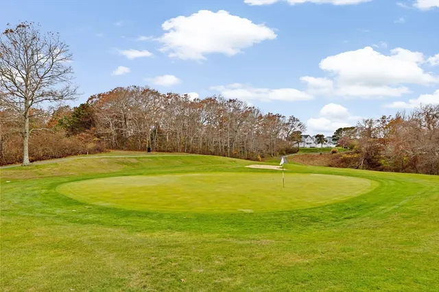 a view of an ocean yard and trees in the background