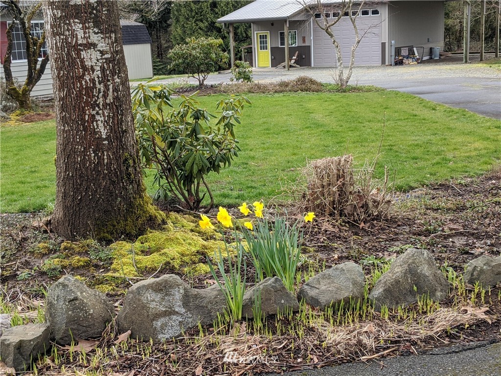 9527 Gastaeson Lane Southwest Rochester, WA 98579 - Photo 5 of 40 a view of a house with a yard