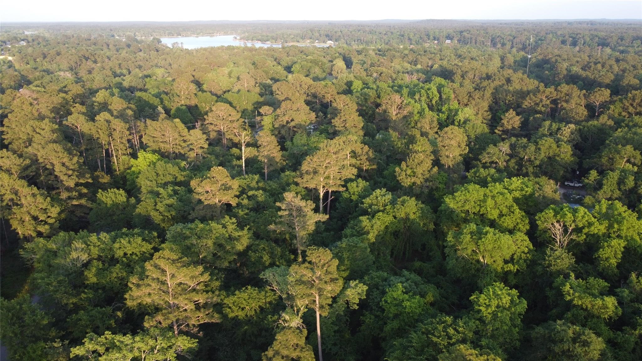 Tract A Lake Road Huntsville, TX 77320 - Photo 4 of 7 an aerial view of forest