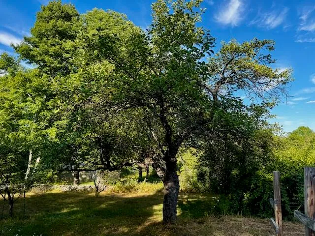 $495,000 | 69 Ward Road, Athens, ME 04912