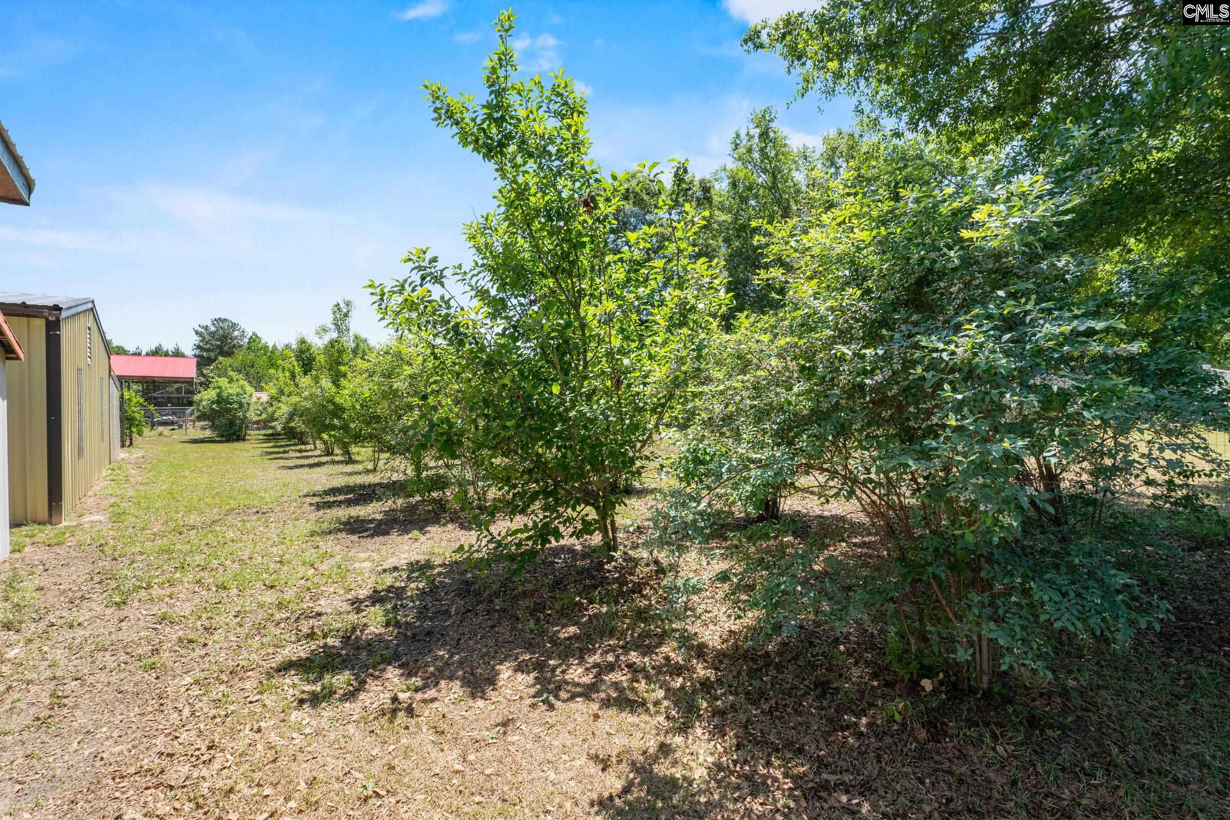 1633 Shillings Bridge Road Orangeburg, SC 29115 - Photo 28 of 43