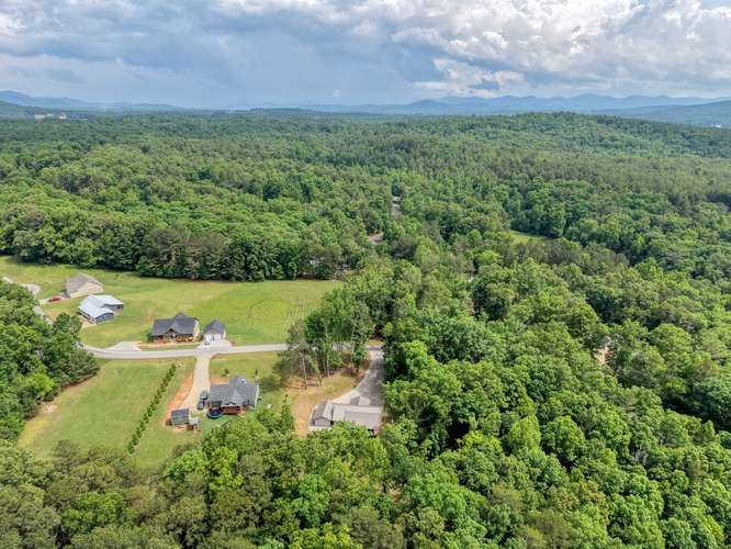 35 Prospect Road Blairsville, GA 30512 - Photo 44 of 51