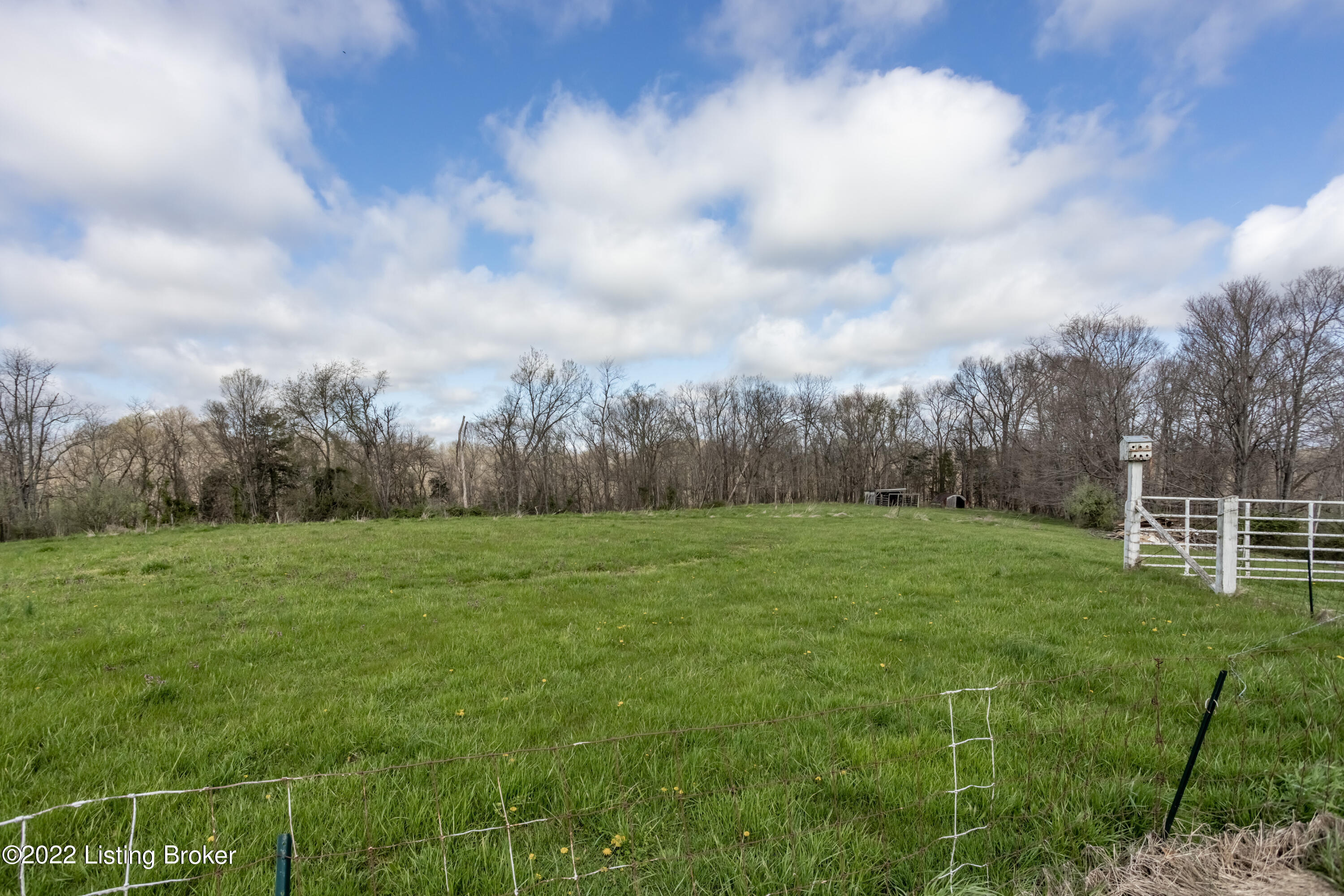 6420 Bagdad Road Bagdad, KY 40003 - Photo 14 of 55 13