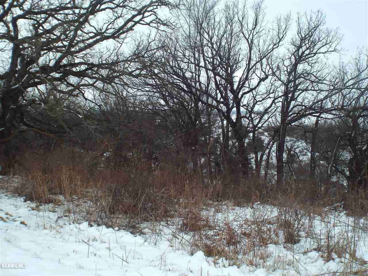 Tbd West Menzemer Road Elizabeth, IL 61028 - Photo 1 of 1 Gallery Image 1