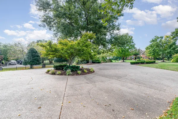 a view of a garden with a bench