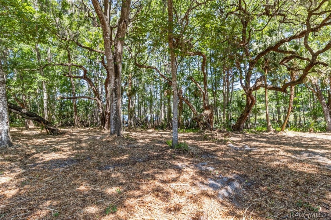 1255 South Estate Point Inverness, FL 34450 - Photo 40 of 84