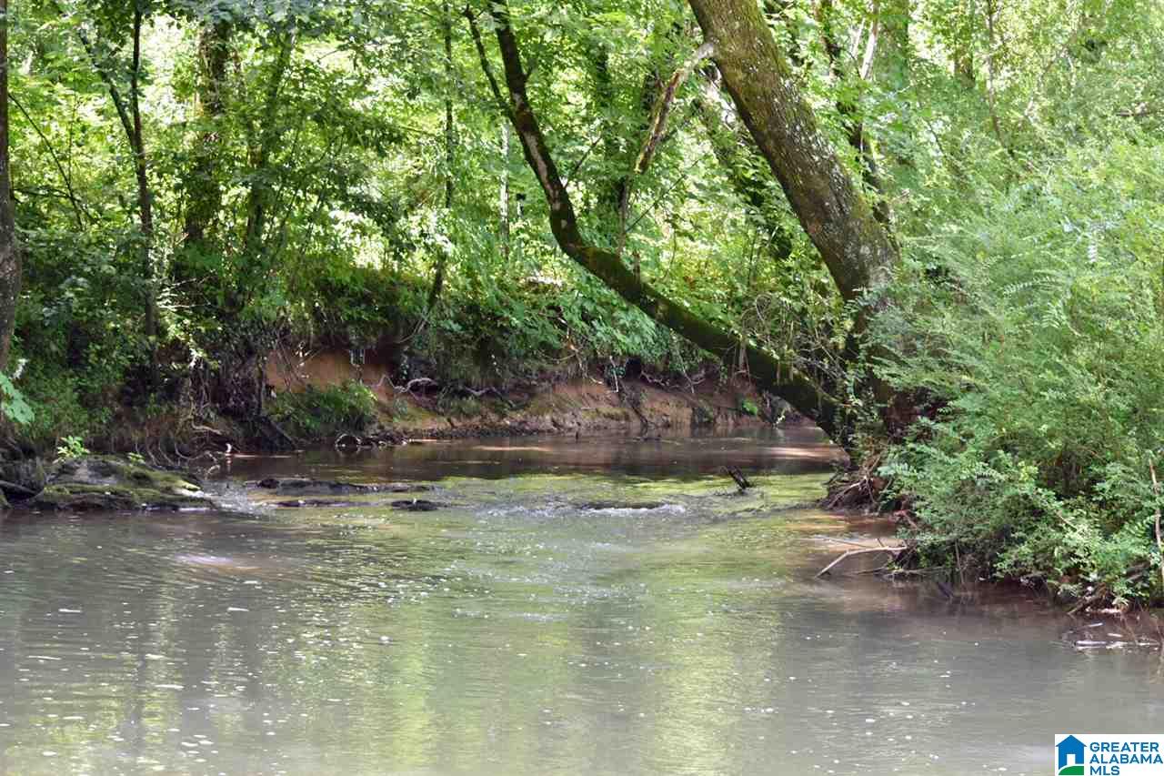 3330 Highway 174 Springville, AL 35146 - Photo 11 of 21