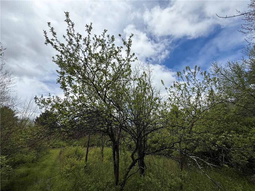 Caswell Road Freeville, NY 13068 - Photo 11 of 47