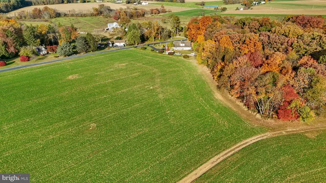 a view of yard with swimming pool