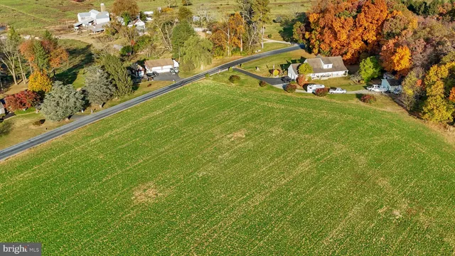 a view of outdoor space with garden and trees