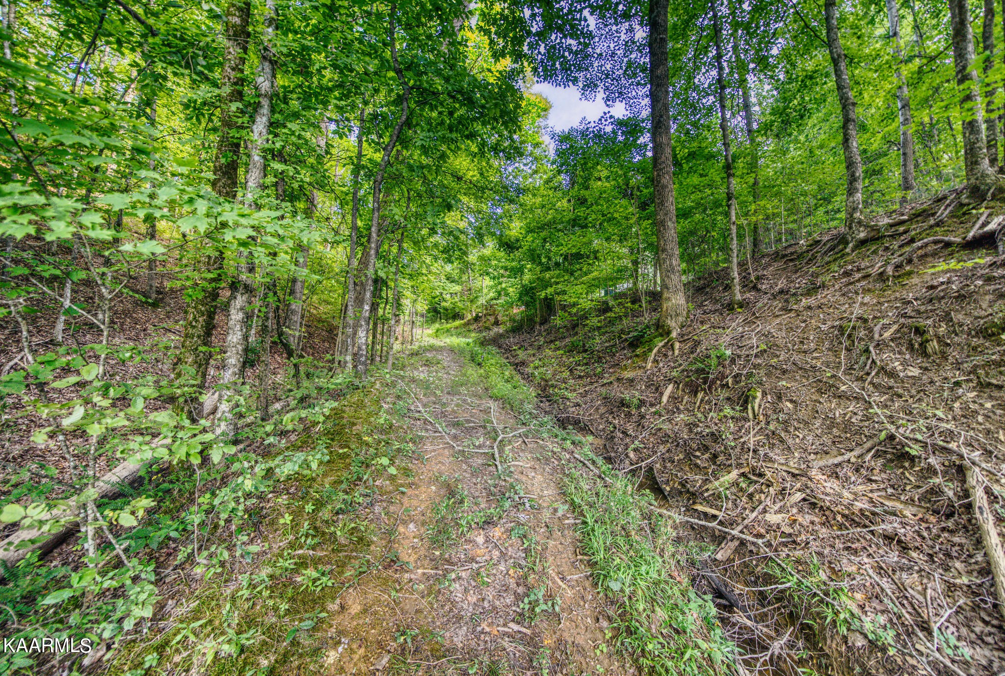 1737 Parrotts Chapel Road Sevierville, TN 37876 - Photo 30 of 36 Gallery Image 30