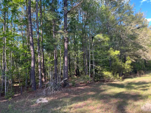 $375,000 | 0 Rentz Drive, Walterboro, SC 29488