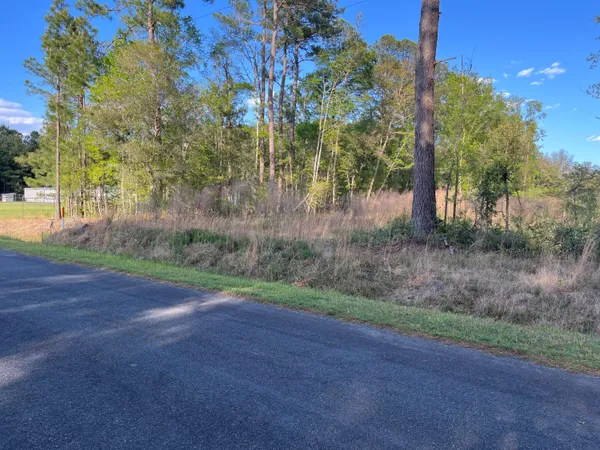 $375,000 | 0 Rentz Drive, Walterboro, SC 29488