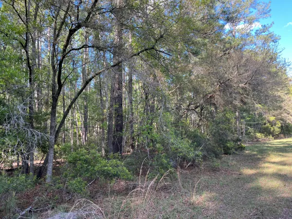 $375,000 | 0 Rentz Drive, Walterboro, SC 29488