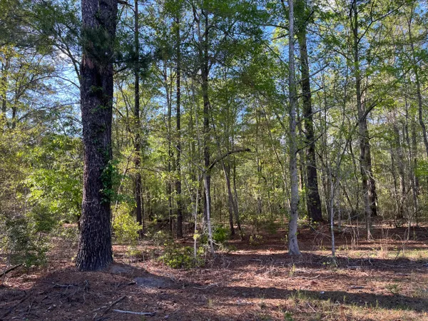 $375,000 | 0 Rentz Drive, Walterboro, SC 29488